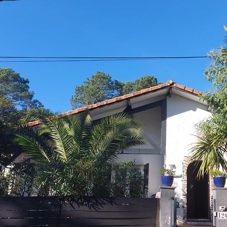 Villa Zaphira Gujan-Mestras Buitenkant foto