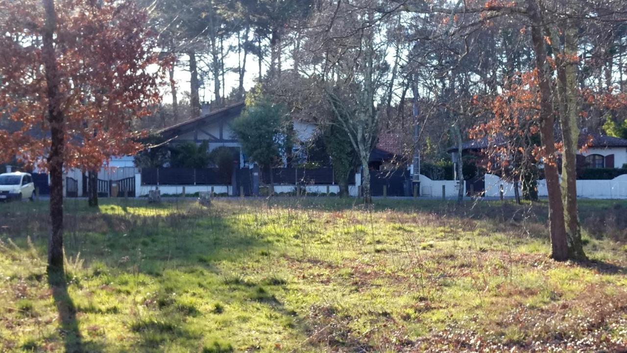 Villa Zaphira Gujan-Mestras Buitenkant foto